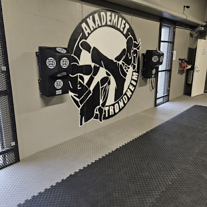 Akademiet Kickboxing og Bokseklubb Trondheim - Haakon VIIs gt. 13, 7041 Trondheim, Norway