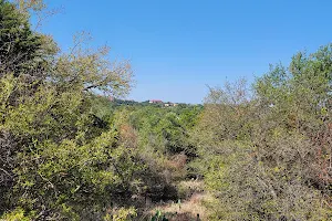 Blunn Creek Nature Preserve image