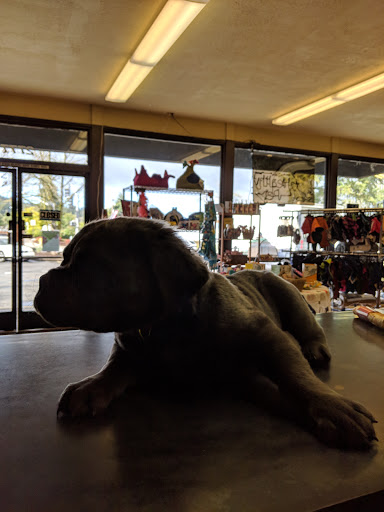 Pet Supply Store «The Healthy Pet», reviews and photos, 2777 Friendly St, Eugene, OR 97405, USA