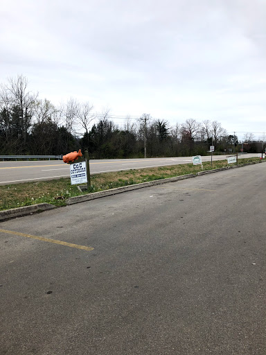 Outdoor Sports Store «C & C Outdoors», reviews and photos, 2940 Topside Rd, Louisville, TN 37777, USA