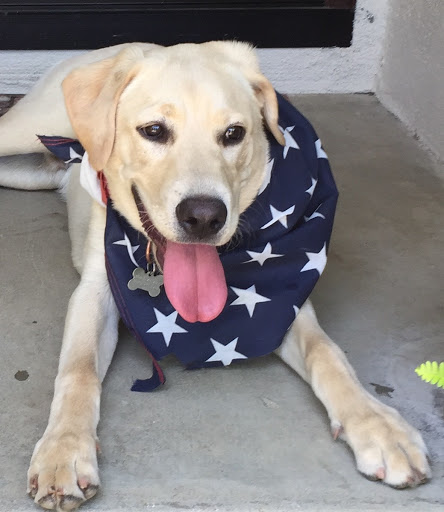 General Contractor «R&K TRADESMEN», reviews and photos, 21356 Nordhoff St #104, Chatsworth, CA 91311, USA