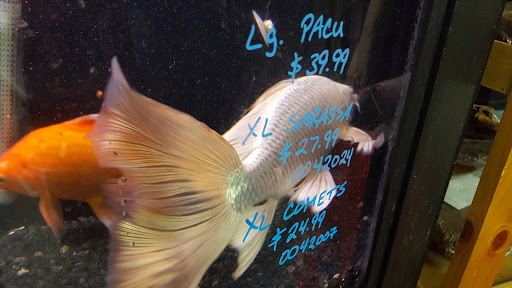 Pet Store «Petland Montgomery», reviews and photos, 7127 Eastchase Pkwy, Montgomery, AL 36117, USA