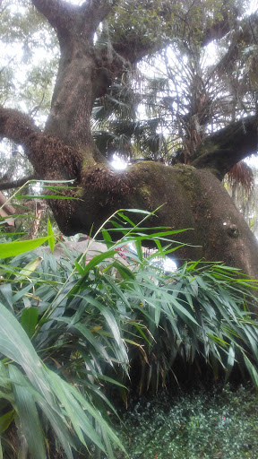 Amusement Park «Carousel Gardens Amusement Park», reviews and photos, 7 Victory Ave, New Orleans, LA 70124, USA