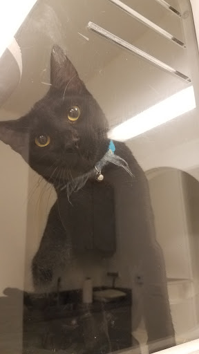 Corona Animal Shelter image