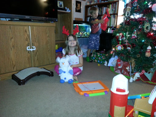 891 Cedar Cir, Tavares, FL 32778, USA