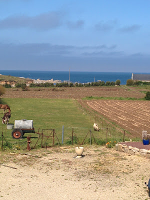 SCI ST EDEN à Plouescat
