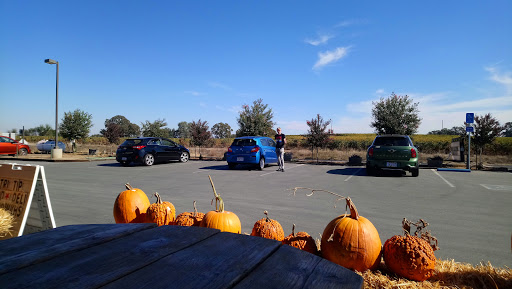 Produce Market «Clements Ridge Produce», reviews and photos, 23225 CA-88, Clements, CA 95227, USA