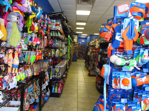 Pet Supply Store «Dawg City Inc.», reviews and photos, 38 Pearson St, Andover, MA 01810, USA