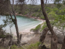 Zdjęcie Bittangabee Bay dziki obszar