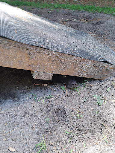 State Park «Breakheart Reservation», reviews and photos, 177 Forest St, Saugus, MA 01906, USA