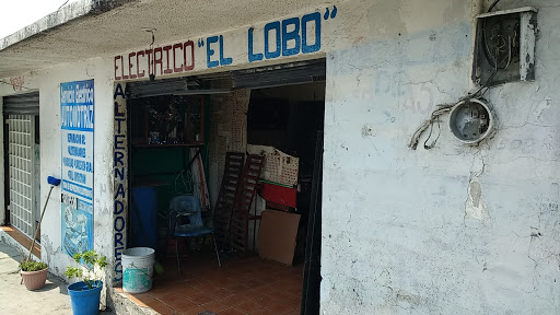 Eléctrico lobo