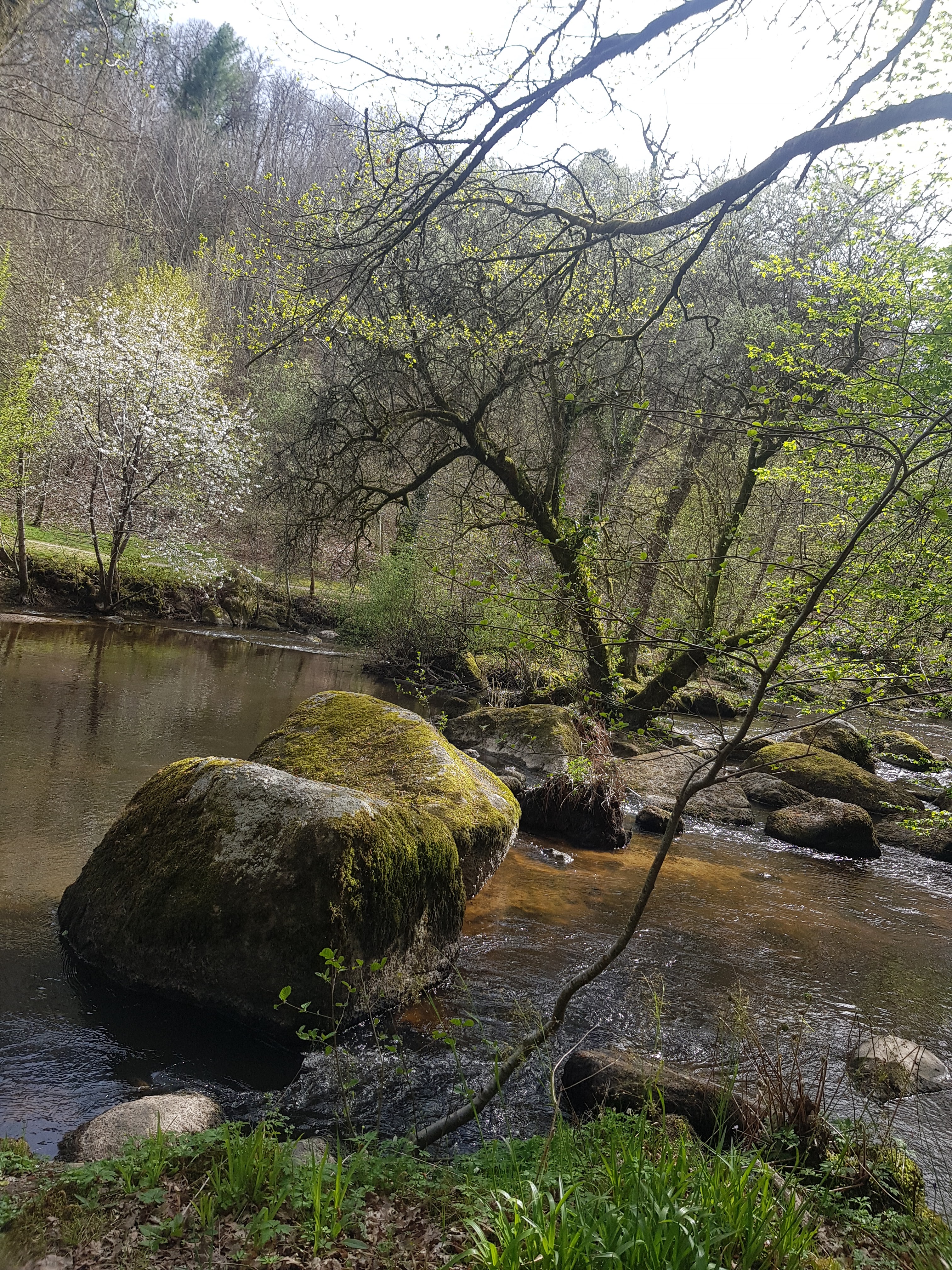 Photo n° 18 de l'avis de zaz.o fait le 24/04/2019 à 04:46