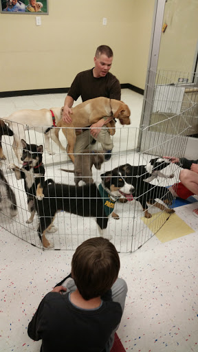 Pet Supply Store «Petco Animal Supplies», reviews and photos, 1090 Fort Union Blvd, Midvale, UT 84047, USA