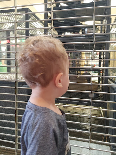 Pet Supply Store «Your Pet Experts», reviews and photos, 1665 State Hill Rd #490, Wyomissing, PA 19610, USA