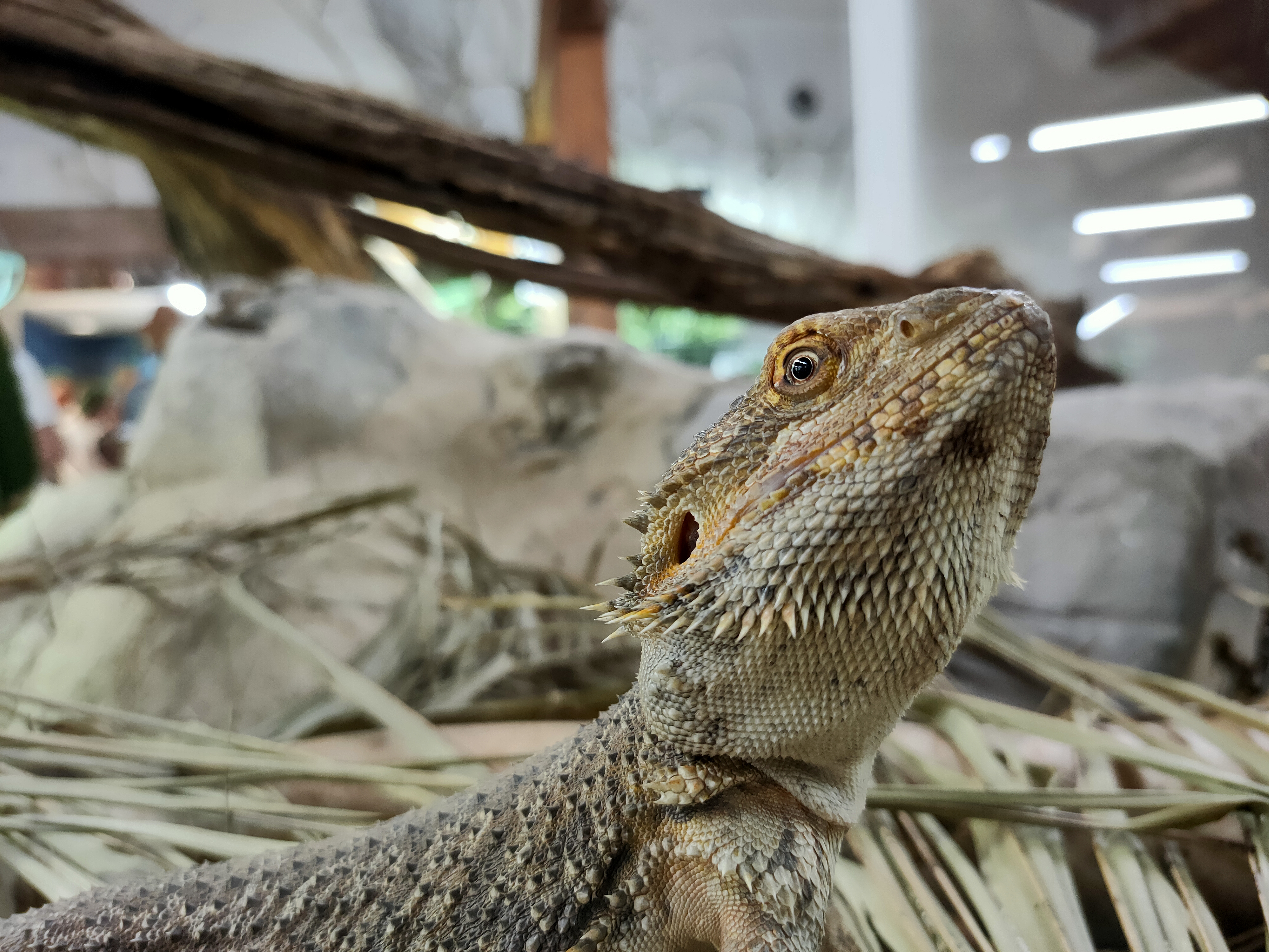 Photo n° 1 de l'avis de geoffroy.e fait le 15/06/2021 à 15:53