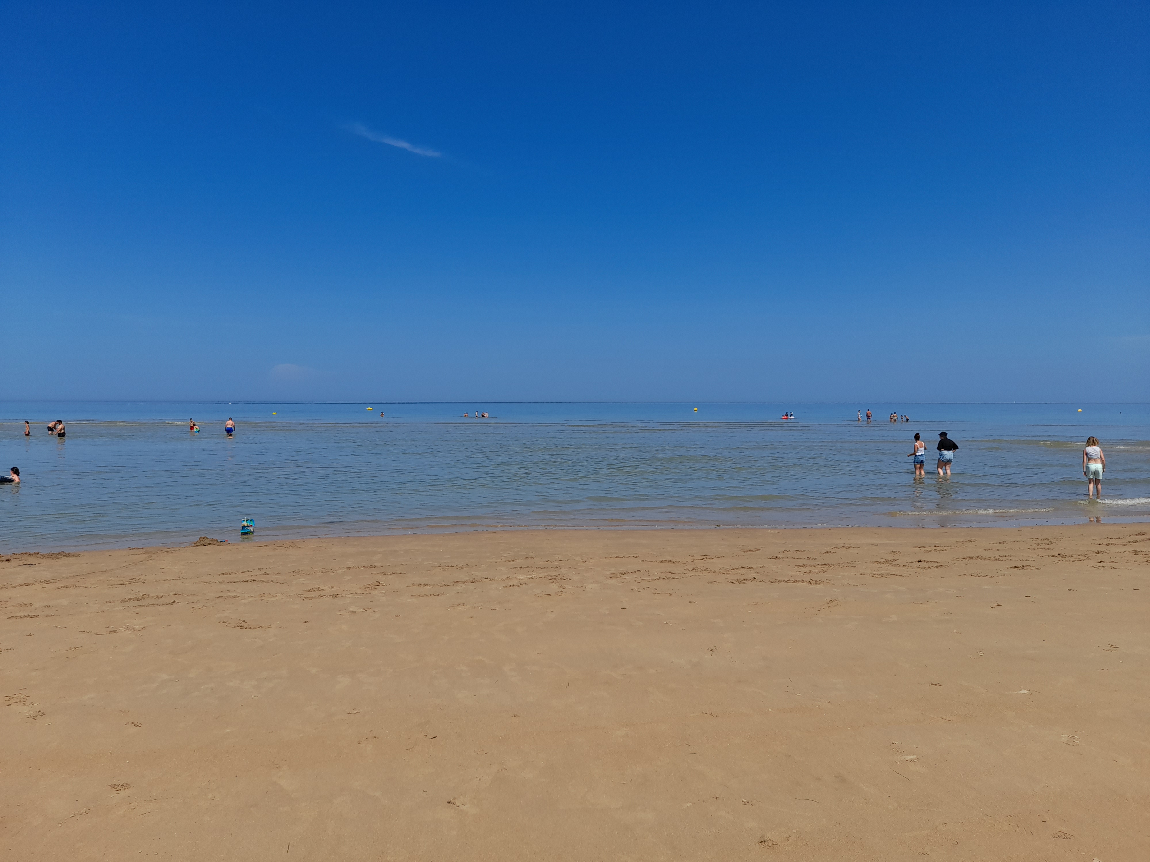 Photo n° 1 de l'avis de Tarl.a fait le 19/07/2021 à 14:54