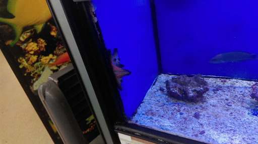 Pet Supply Store «Petco Animal Supplies», reviews and photos, 2520 E 3rd St, Bloomington, IN 47401, USA