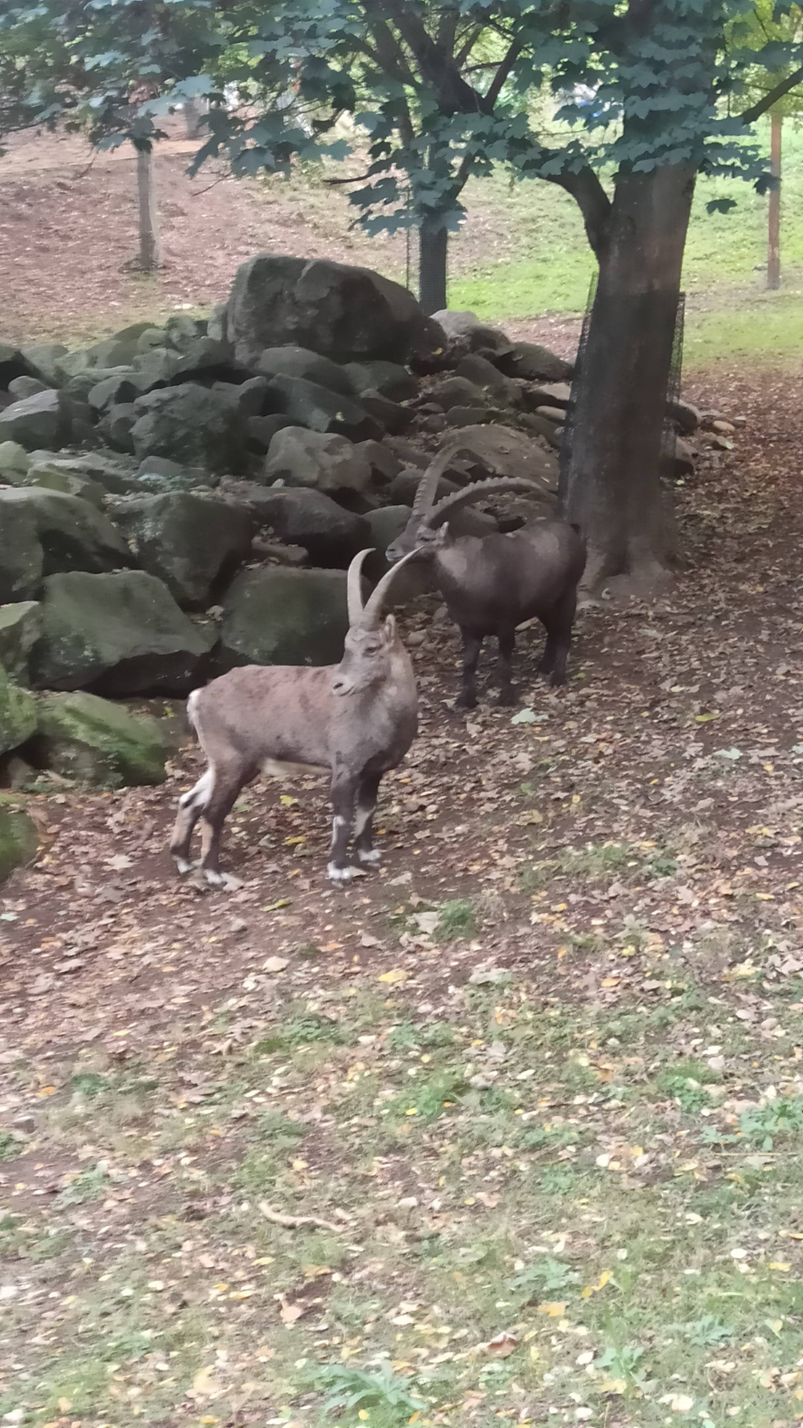 Photo n° 3 de l'avis de Lucie.o fait le 26/10/2023 à 19:45