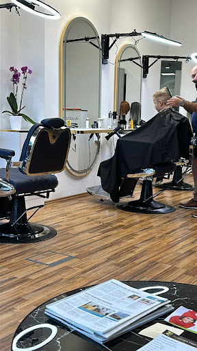 Austrian Hairlines In Traun