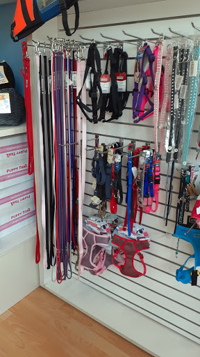Pet Store «South Beach Pet Shop», reviews and photos, 634 6th St, Miami Beach, FL 33139, USA