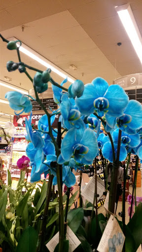 Vons image