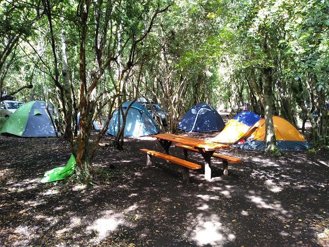 Camping Las Gaviotas - Villarrica