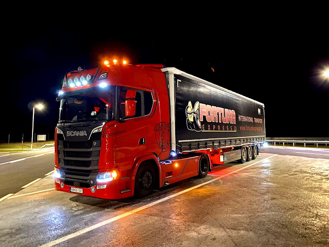 Fortuna Expressz Kft - Költöztető