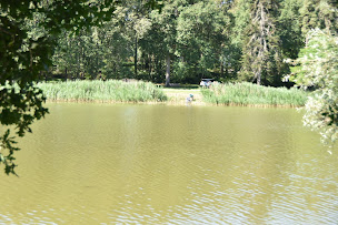 Photo n°13 de Lac de Rillé à Rillé ()