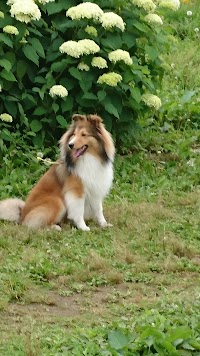 長瀞花の里