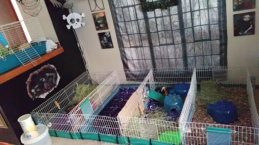 Pet Supply Store «Pet Supplies Plus», reviews and photos, 2180 Dixie Hwy, Fort Mitchell, KY 41017, USA