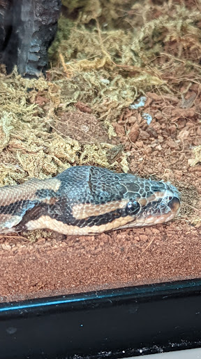 Pet Supply Store «Petco Animal Supplies», reviews and photos, 4175 Dowlen Rd, Beaumont, TX 77706, USA