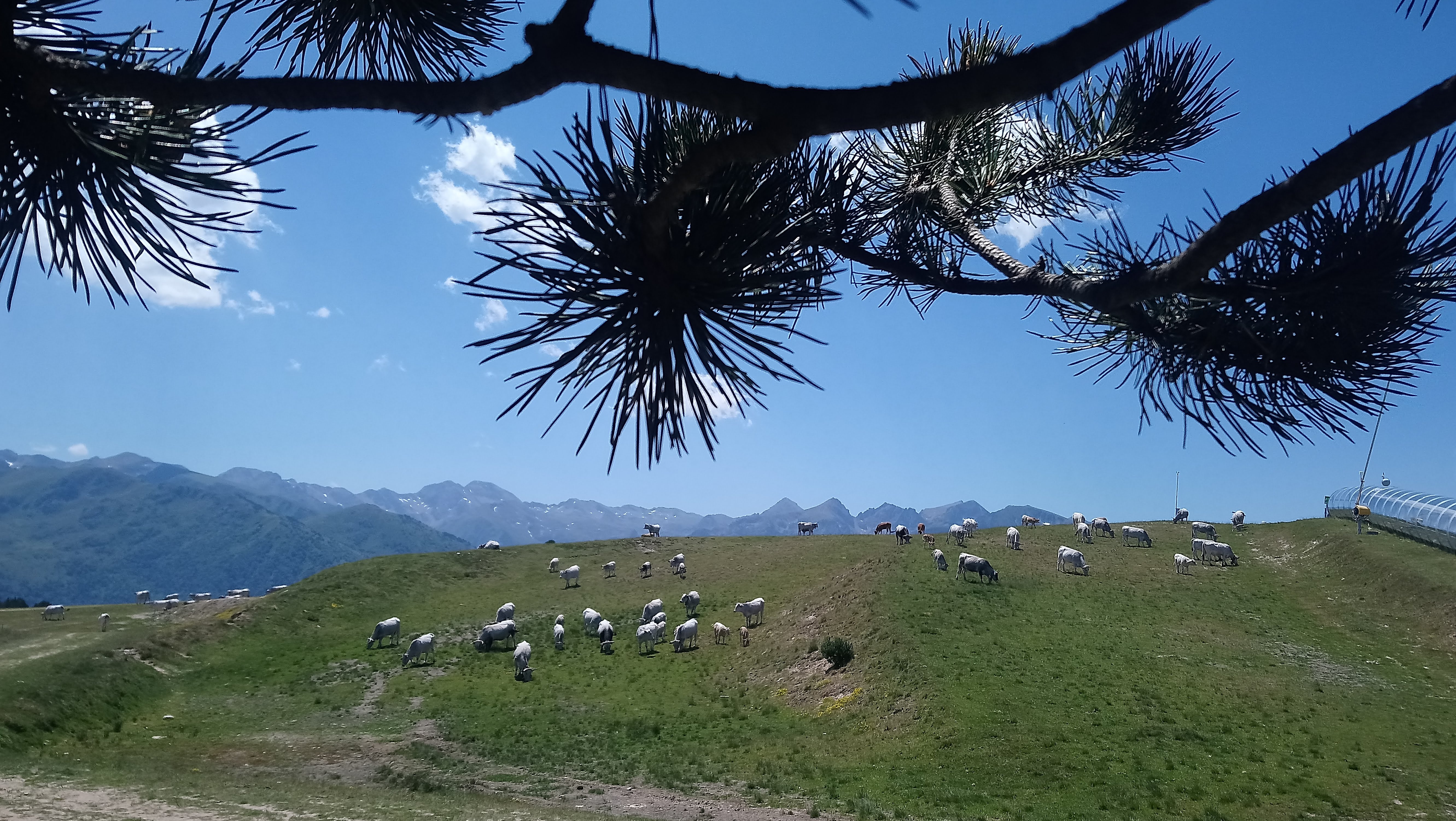 Photo n° 4 de l'avis de Michèle.G fait le 18/08/2019 à 15:31