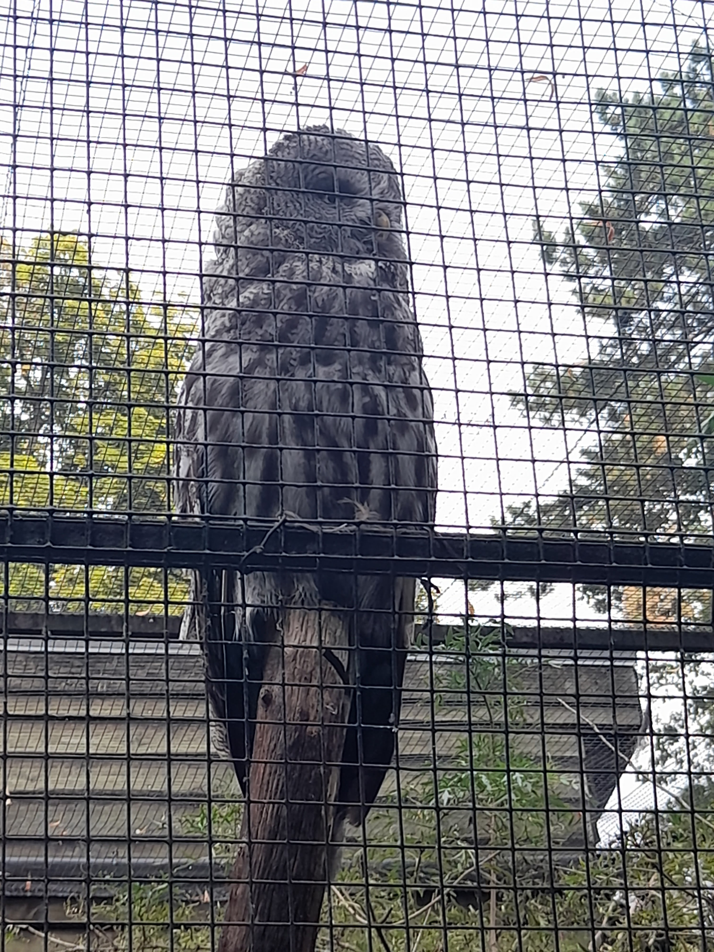 Photo n° 4 de l'avis de pauline.o fait le 15/08/2022 à 18:00