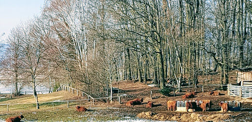 Hubertus Kutschke Tierarzt unter Cunewalde, Sachsen