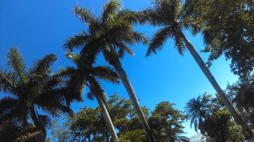 Country Club «Miccosukee Golf & Country Club», reviews and photos, 6401 Kendale Lakes Dr, Miami, FL 33183, USA