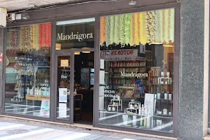 Mandrágora Café, Té y Chocolate image