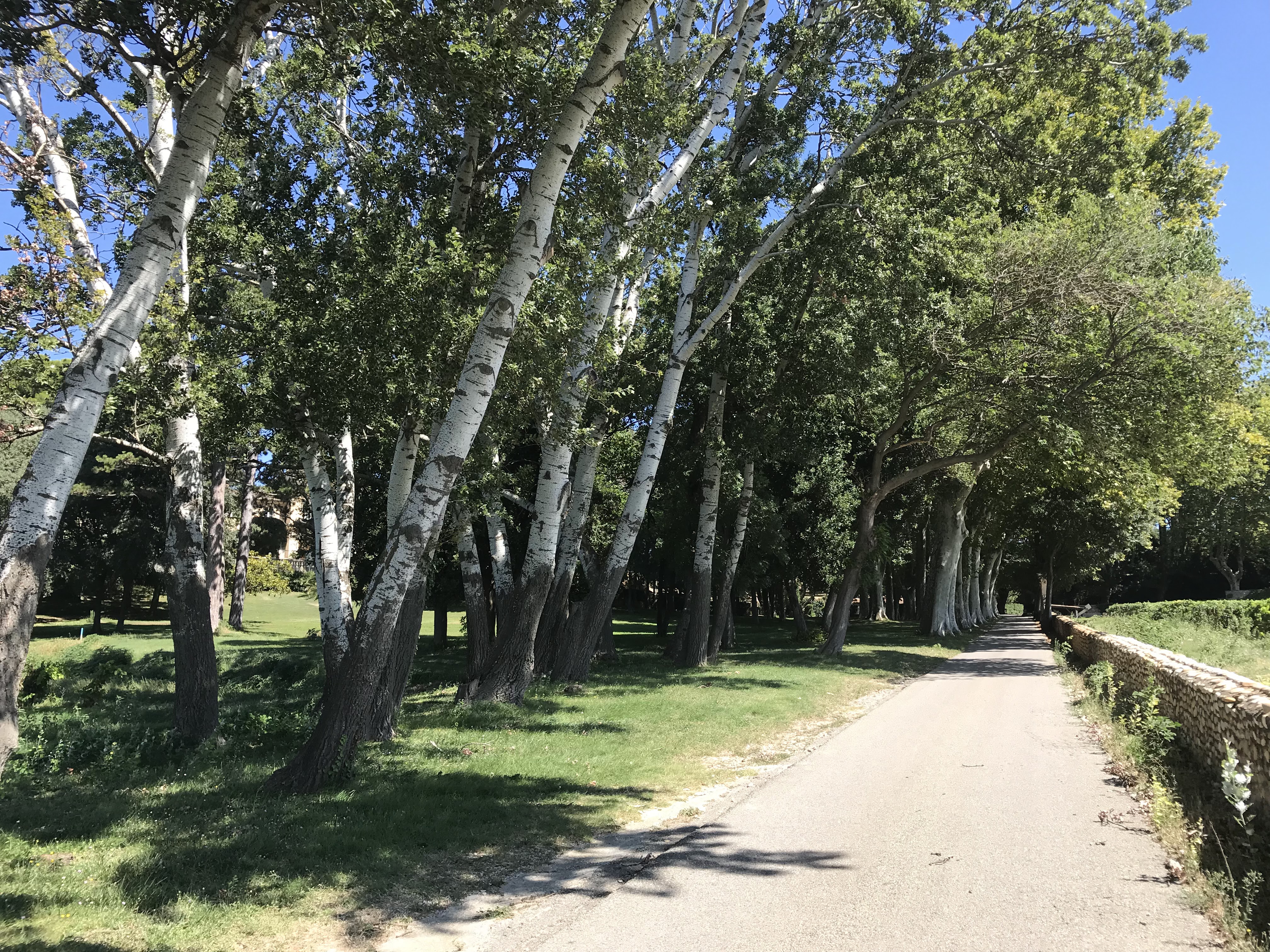 Photo n° 13 de l'avis de Houses.e fait le 13/09/2018 à 13:52