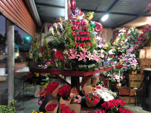 Fantasía Floral