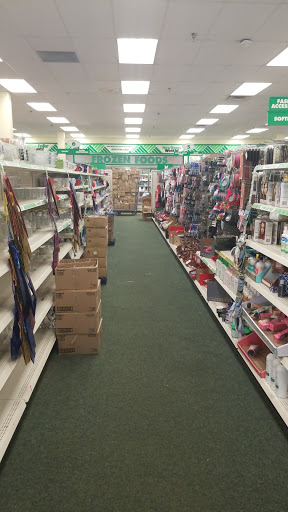 Dollar Store «Dollar Tree», reviews and photos, 10600 France Ave S, Bloomington, MN 55431, USA