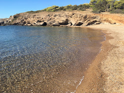 Port Arthur beach'in fotoğrafı vahşi alan