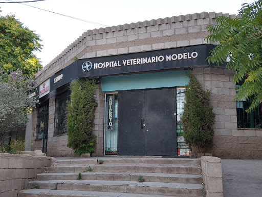 MODEL VETERINARY HOSPITAL
