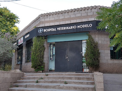 HOSPITAL VETERINARIO MODELO
