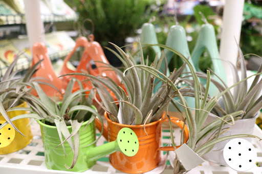 Hardware Store «Tenleytown Ace Hardware», reviews and photos, 4500 Wisconsin Ave NW, Washington, DC 20016, USA