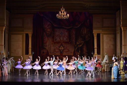 Ballet schools in Bucharest