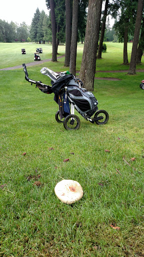 Golf Course «Brookdale Golf Course», reviews and photos, 1802 Brookdale Rd E, Tacoma, WA 98445, USA