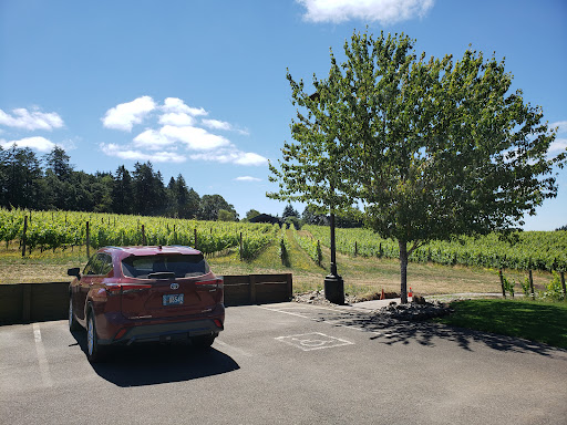 Winery «Trisaetum Winery», reviews and photos, 18401 NE Ribbon Ridge Rd, Newberg, OR 97132, USA