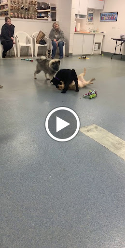 Pet Supply Store «Rumford Pet Center», reviews and photos, 865 Warren Ave, East Providence, RI 02914, USA