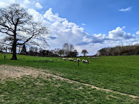 Hucking Estate - Woodland Trust Car Park