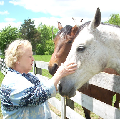Equine Therapeutic Interaction and Reiki