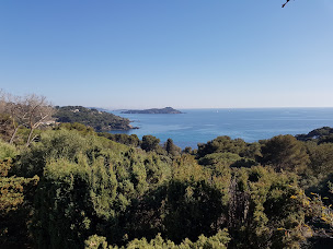 Photo n°24 de Les Thés de Capucine à Hyères ()